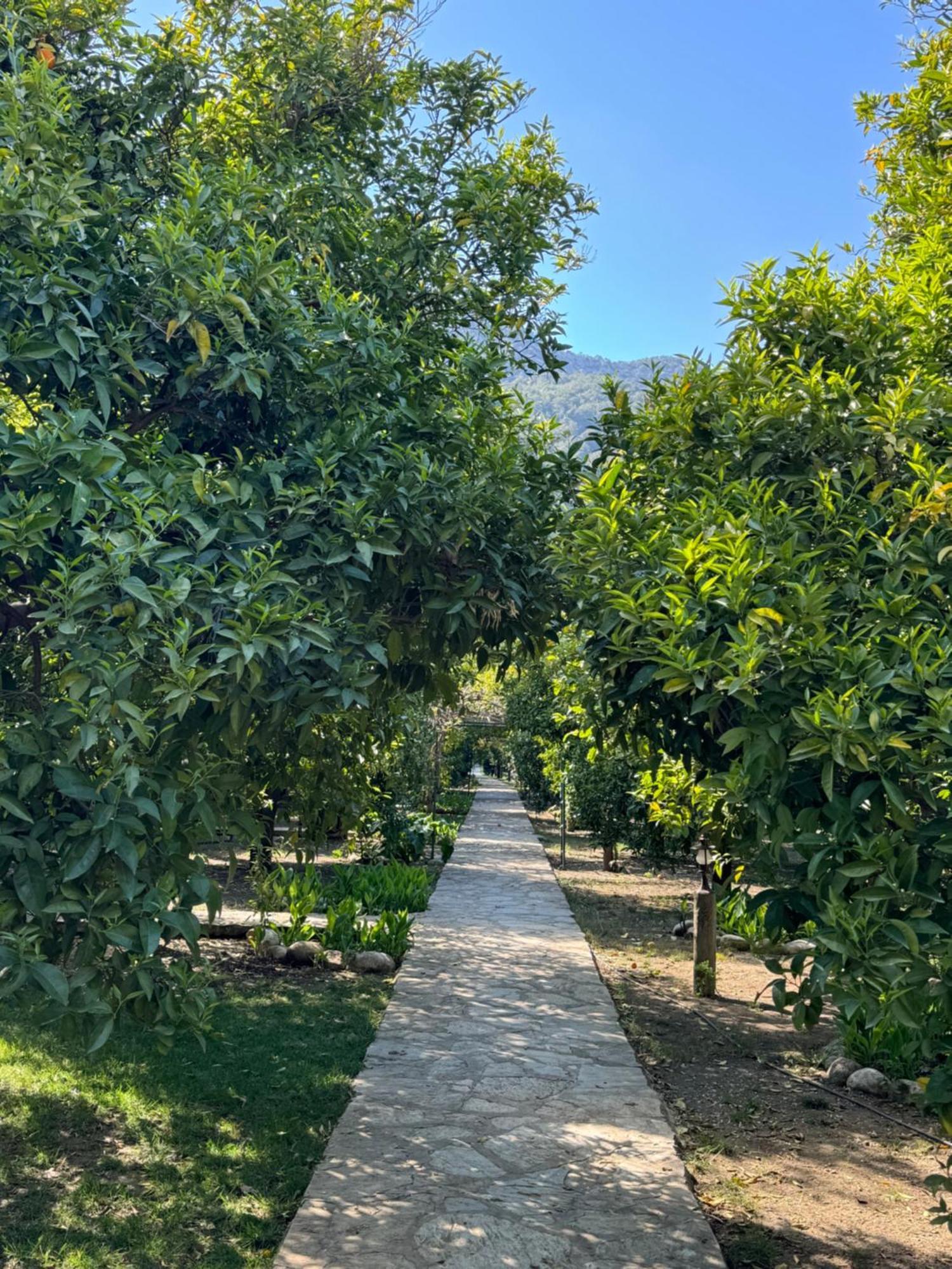 Hotel Yavuz Bungalow Çıralı Exterior foto