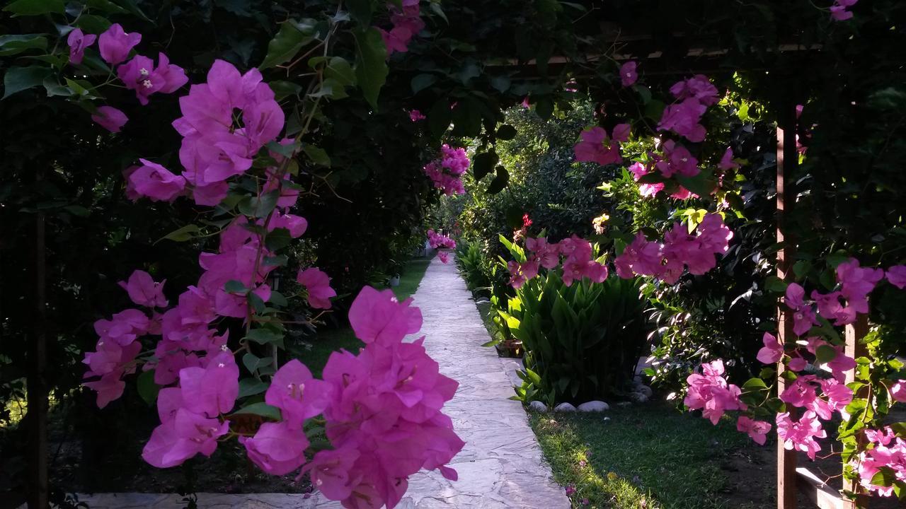 Hotel Yavuz Bungalow Çıralı Exterior foto