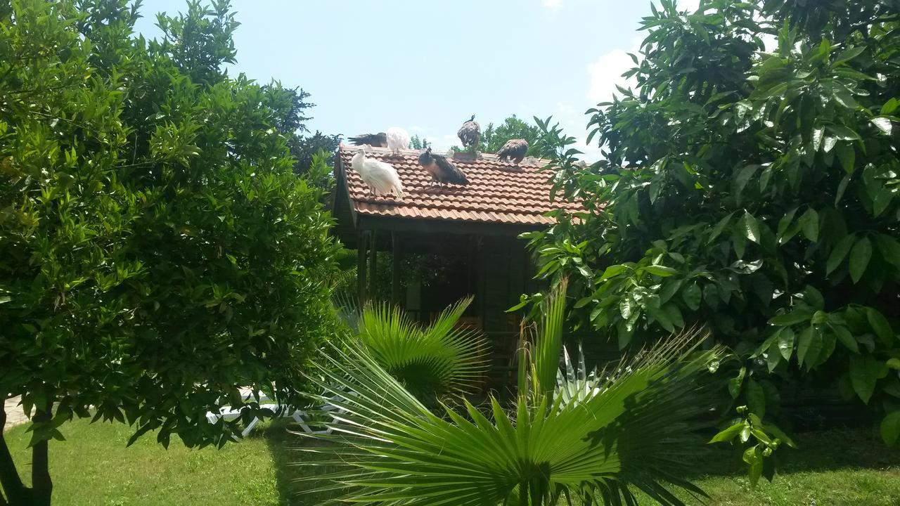 Hotel Yavuz Bungalow Çıralı Exterior foto
